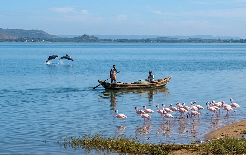 Chilika Road Trip